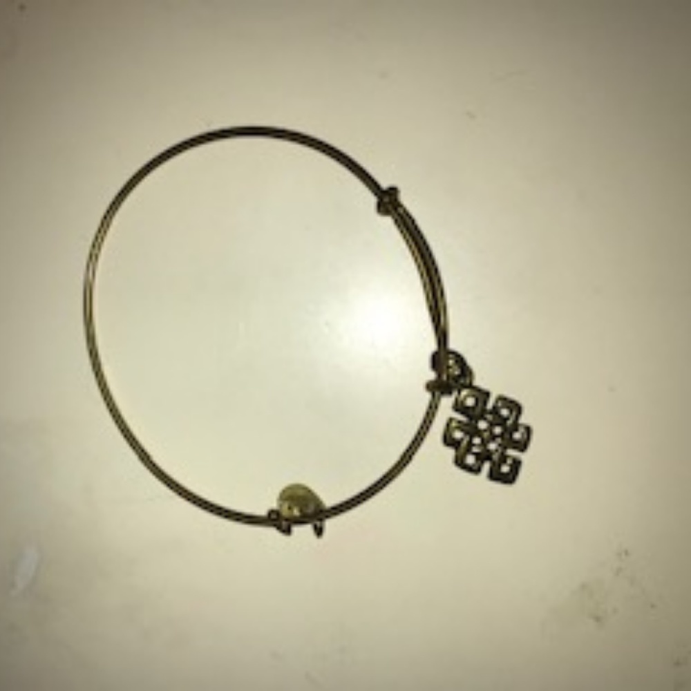 Alex and Ani bracelet - endless knot